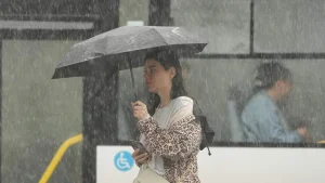 В Узбекистане ожидается неустойчивая погода.