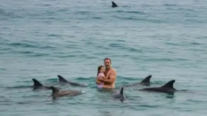 Dolphins saved the family from a great white shark attack