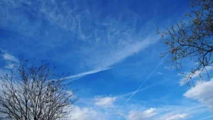 Dam olish kunlari O'zbekistonda asosan quruq ob-havo kutilmoqda