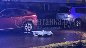 Rossiyada mushtlashuv oqibatida odam o'ldirgan o'zbekistonlik qo'lga olindi