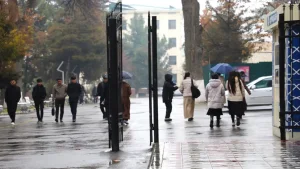 O'zbekistonda yomg'irli kunlar va sovuq havo kutilmoqda