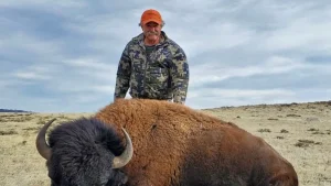 American Millionaire Killed by Wild Elephant Attack in Gabon