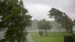 O‘zbekistonda kuchli shamol kutilmoqda, ogoh bo‘ling!