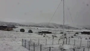 Unexpected snow fell in the Suffa area of Zomin district in spring