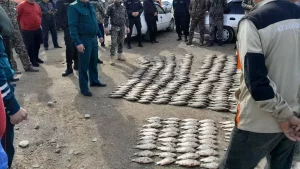 В Узбекистане составлен список из 800 тысяч человек, которые могут совершить правонарушения