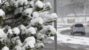 Ertaga O‘zbekistonda havo o‘zgaruvchan bo‘ladi