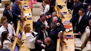 A brawl broke out among lawmakers in the Georgian parliament