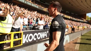 «Tottenxem» Palinyaning goli evaziga «Vulverxempton» ustidan g'alaba qozondi