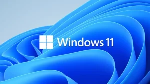 Windows 11 tizimidagi xatolik kompyuter xotirasini to'ldirib yubormoqda