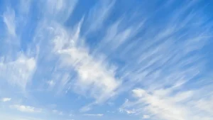 Spring warmth and dry weather are expected in Uzbekistan during the holidays