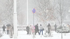 22 января в Узбекистане холодная и туманная погода