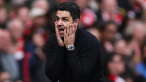 Gari Nevill «Arsenal» yarim himoyachisi Martin Subimendining o'yinini tanqid qildi