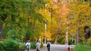 Toshkent Botanika bog'ida velosiped va samokatlar harakati taqiqlandi