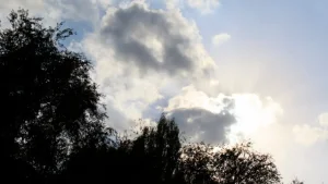 25-fevral: O‘zbekistonda havo o‘zgaruvchan bo‘ladi