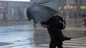 14-fevral kuni O‘zbekistonda havo iliq bo‘ladi