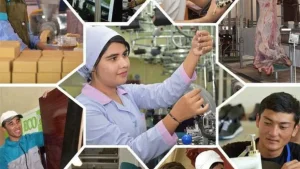 O'zbekistonda aholining eng ko'p qismi qishloq xo'jaligida ishlamoqda