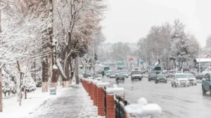 O'zbekistonda ob-havo keskin o'zgaradi, qor yog'ishi kutilmoqda