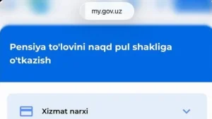 Online pension application service launched