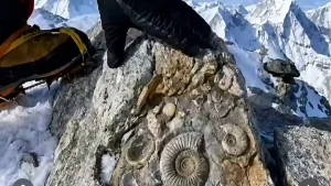 Everest cho'qqisi bir vaqtlar okean tubida bo'lgani aniqlandi