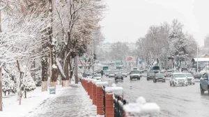 O‘zbekistonda 22–23 yanvar kunlari keskin sovuq bo‘ladi.
