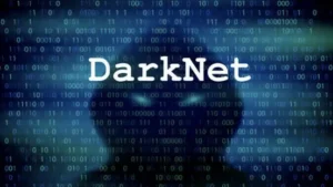 15 million fuqaroning ma’lumotlari darknetga tarqaldi