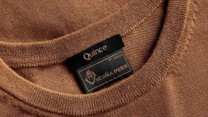 Quince company raised $500 million in investment