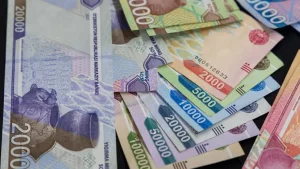 Ikkinchi farzand uchun suyunchi puli tartibi o‘zgarmaydi