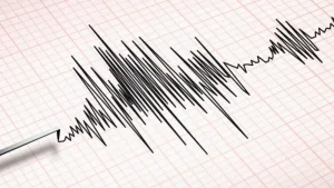 Strong earthquake in Tajikistan also felt in parts of Uzbekistan