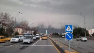 29 mart kuni mamlakatimizda qanday ob-havo kutilmoqda?