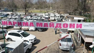 The procedure for removing a vehicle from the impound lot will be fully digitized