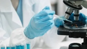 Maktab o‘quvchisi zamburug‘larga qarshi bakteriya topdi