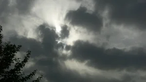 В середине недели в Узбекистане ожидается изменение погоды и понижение температуры