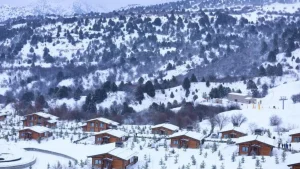 Tog‘ hududlarida zamonaviy mikroavtobuslar qatnovi yo‘lga qo‘yildi