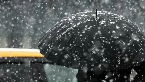 1 февраля в Узбекистане ожидается теплая погода и дождь