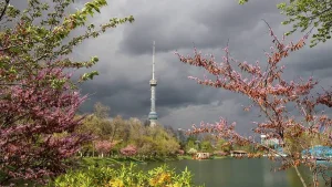 Aprel oyida O‘zbekistonda qisqa muddatli yomg‘irlar kutilmoqda