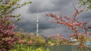 Dry weather will be observed in most regions of Uzbekistan during the weekend