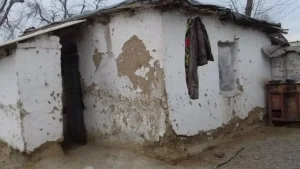 Eng faol 100 mahallaga 1 milliard so‘m ajratiladi