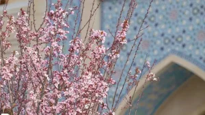 Гидрометслужба объявила прогноз погоды на завтрашний день