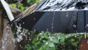 10 февраля в Узбекистане погода будет нестабильной