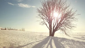 Qozog'istonda kelasi kunlarda ellik daraja sovuq kutilmoqda