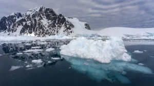 Antarktida muzlari qisqarishi global xavf tug‘dirmoqda