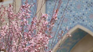 On March 14, the weather in Uzbekistan will improve