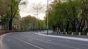 Davlat xizmatchilariga avtomobilsiz kunlar joriy etiladi