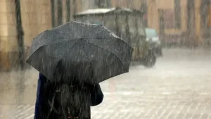 Hafta boshida O‘zbekistonda yomg‘ir va tuman kutilmoqda