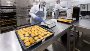 O'zbekistonda oziq-ovqat ishlab chiqarish hajmi oshdi