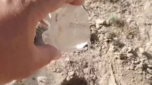 Cho‘lda suv topishning ajoyib va sodda usuli! (video)