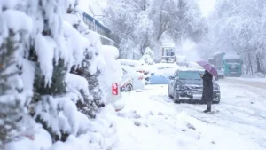 15 января погода будет переменчивой