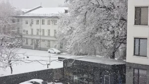 28-yanvar: O‘zbekistonda qor, tuman va sovuq kutilmoqda