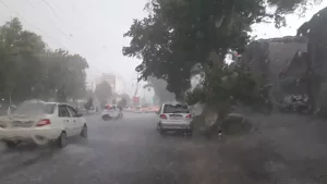 Keyingi haftada ob-havo keskin o‘zgarishi kutilmoqda