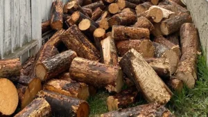 Hindistonda gaz tanqisligi an’anaviy yoqilg‘ilarga qaytishni keltirdi